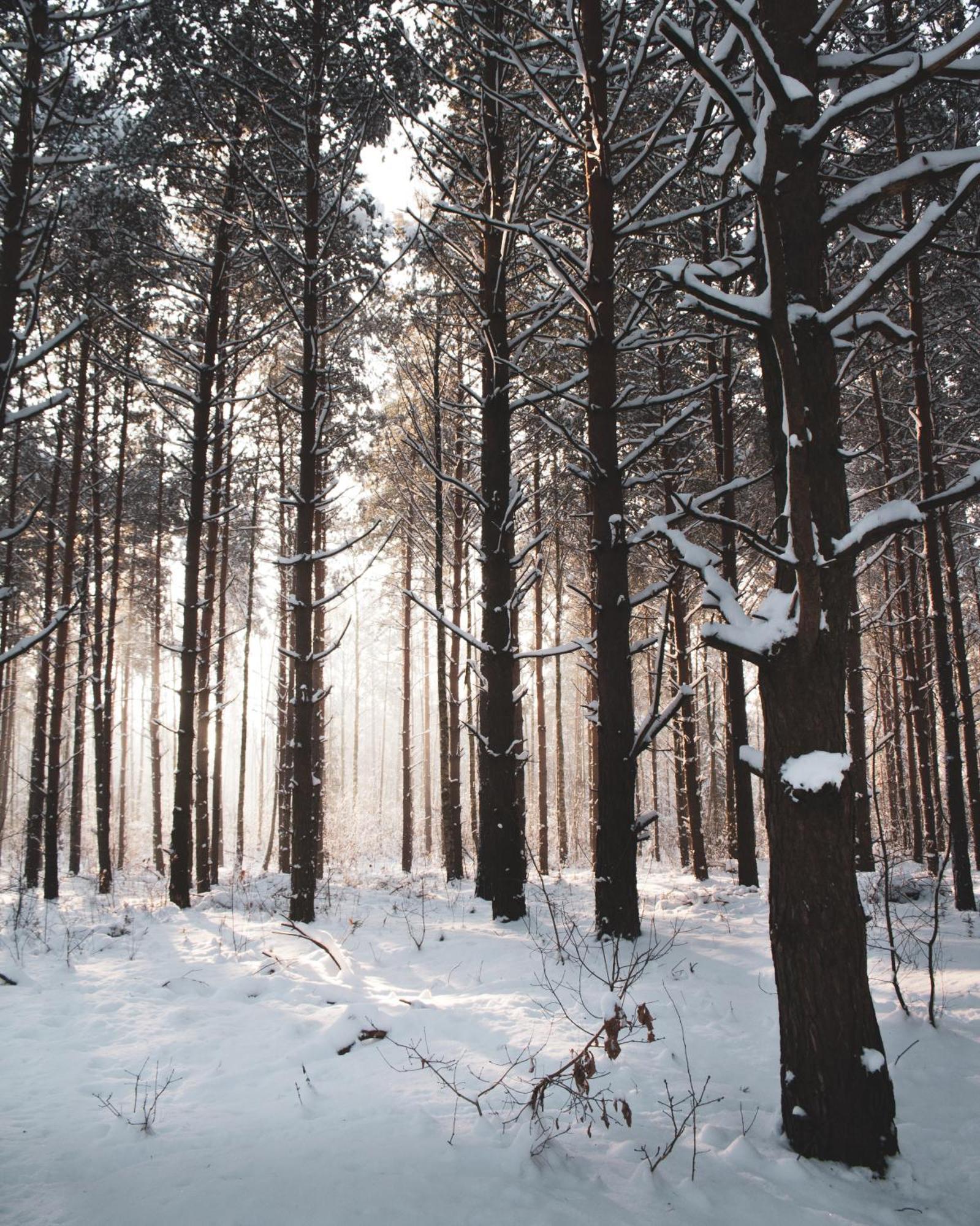 Lesna 21 Dom Poludnie Przy Puszcza Bialowieska Luka Exterior foto